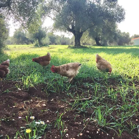 Villa Olea Kefalonia